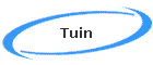 Tuin
